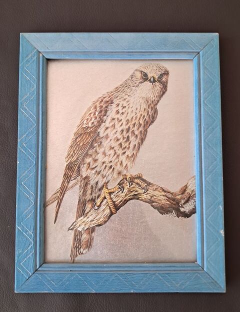 tableau vintage représentant un rapace buse ou faucon Dufex 20 Carnon Plage (34)