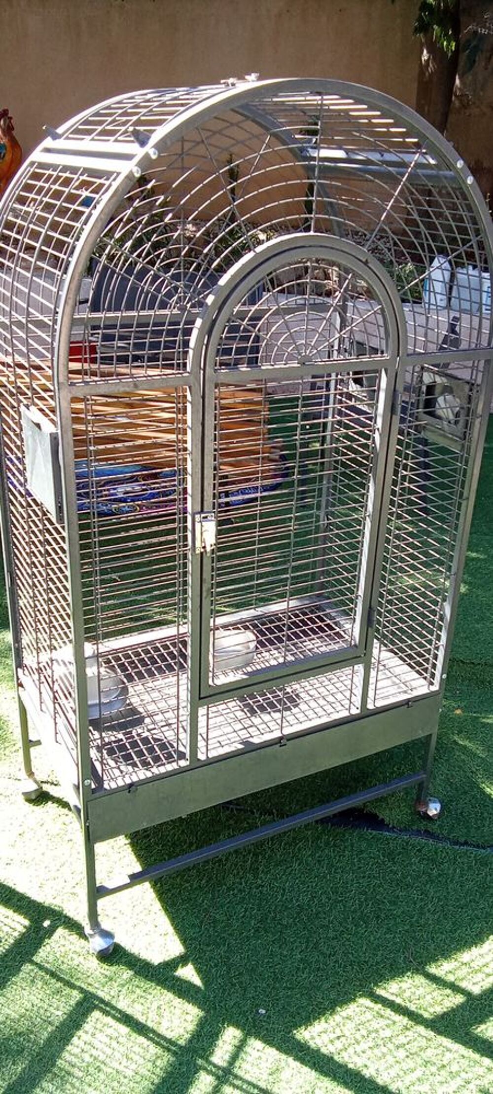   Cage de perroquet  