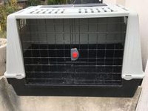   : Caisse de Transport chien avec casiers accessoires, 