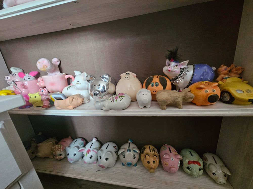 Collection sur le th&egrave;me des cochons 