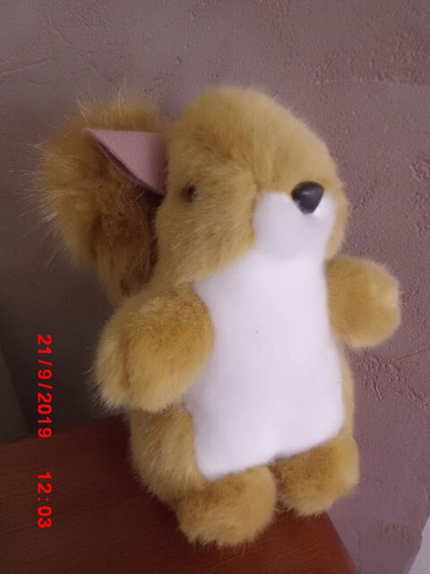 ECUREUIL MARRON ET BLANC NOUNOURS 15 Oignies (62)