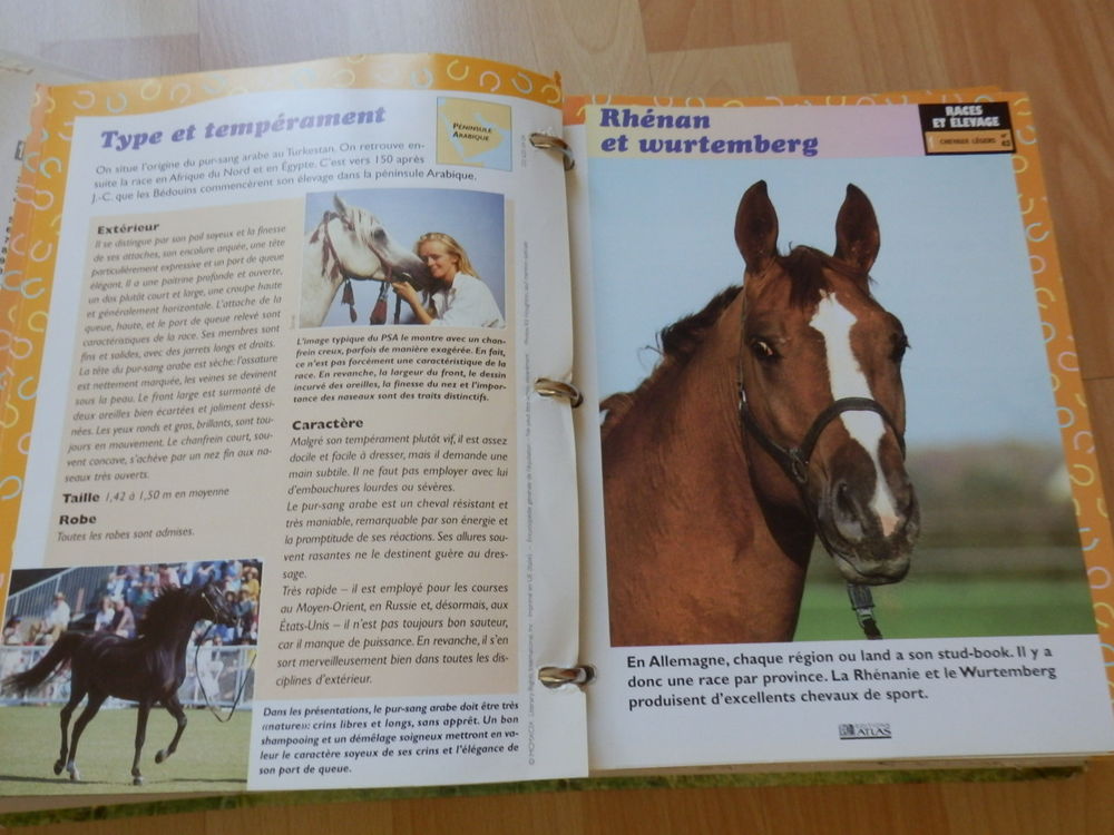 Classeur Fiches - &Eacute;quitation La Passion Du Cheval - Classeur Livres et BD