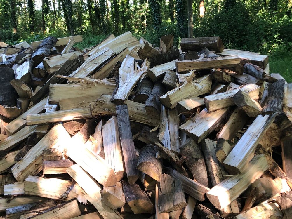 Bois de chauffage peuplier Bricolage