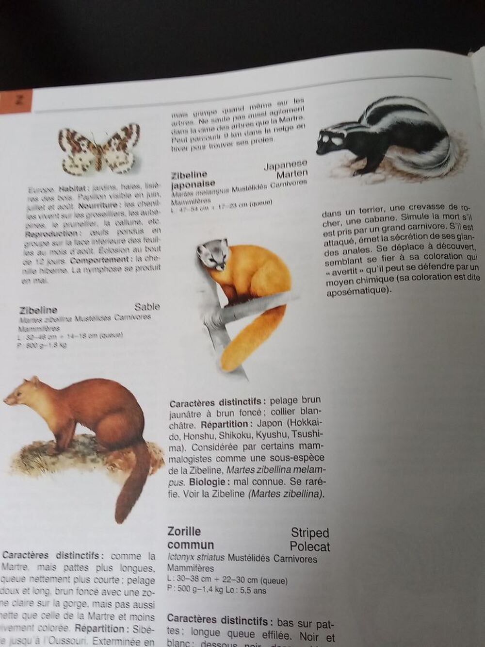 Dictionnaire des animaux Livres et BD