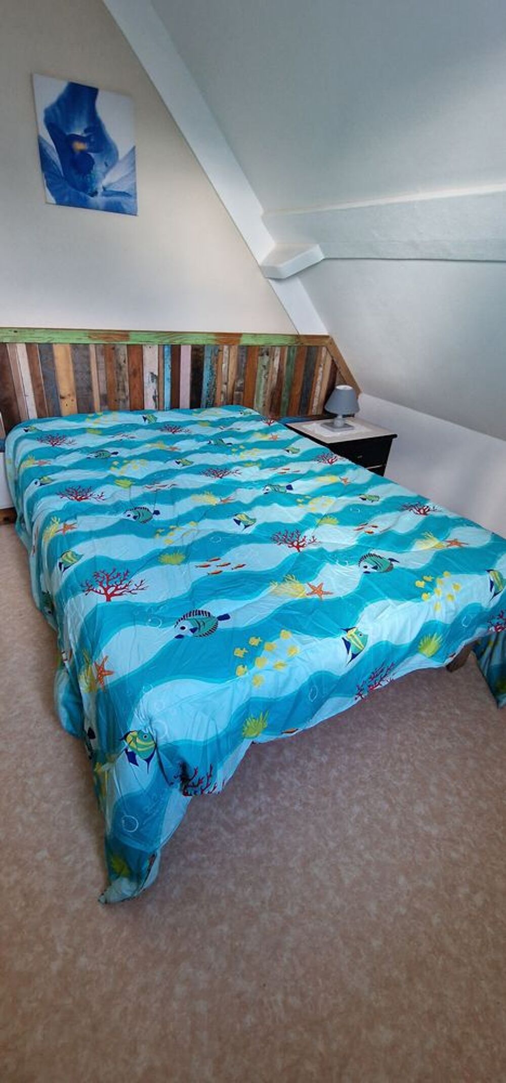   23 au 30 ao�t - BRETAGNE ***Vacances � la PLAGE ***  Bretagne, Guilvinec (29730)