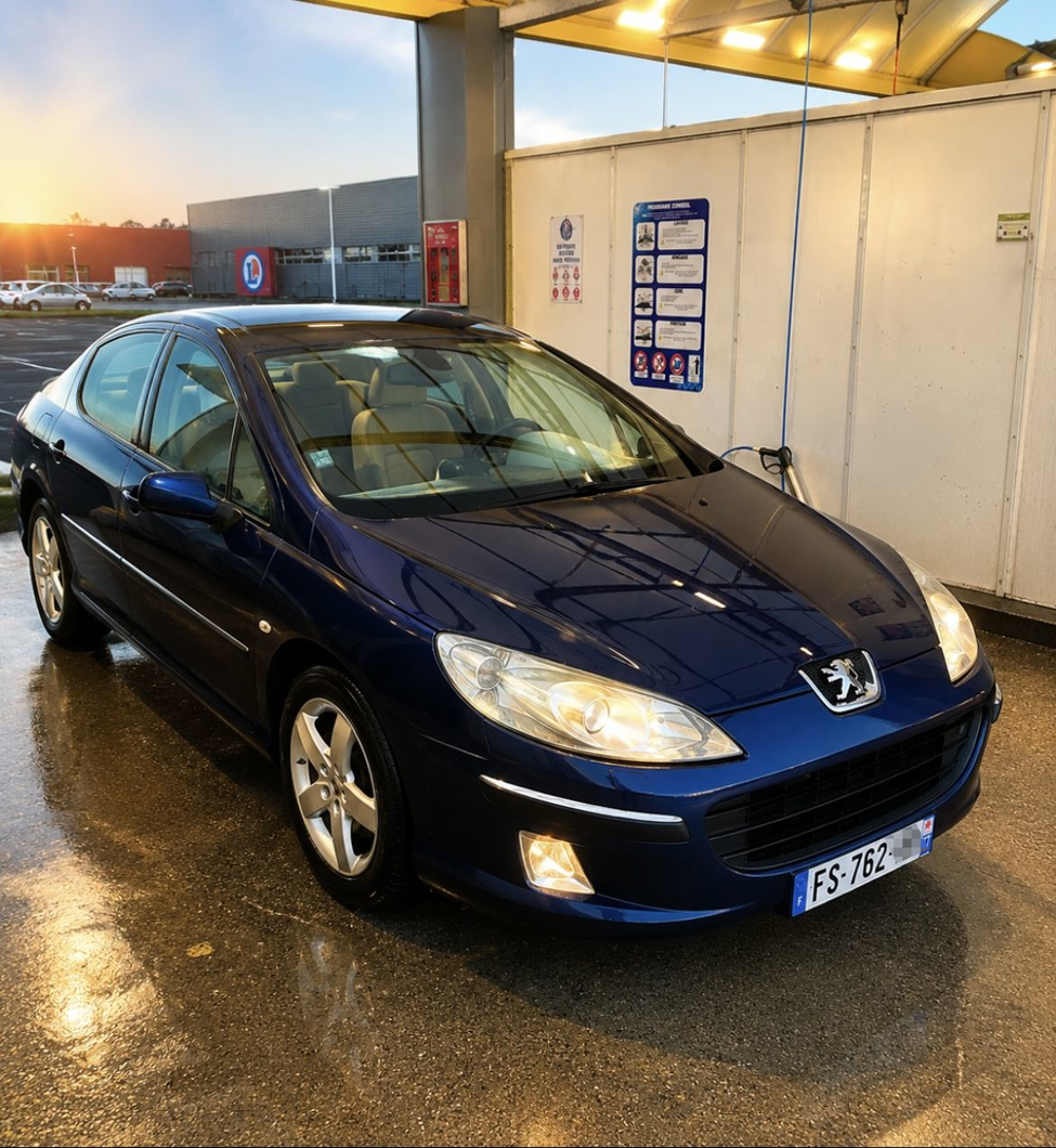 407 2.2e 16v Ex&eacute;cutive Pack 2005 occasion 77000 Melun