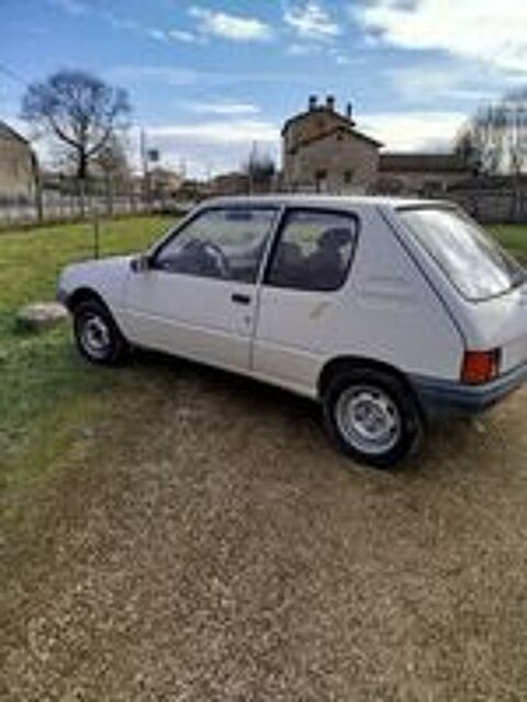 205 1.7 D Color line 1990 occasion 79110 Chef-Boutonne