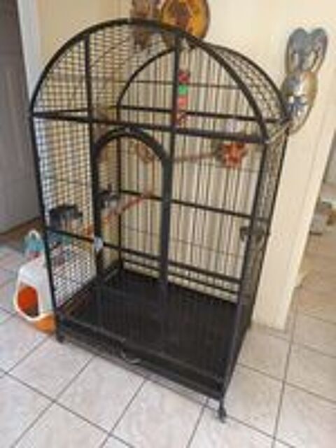   Cage perroquet  
