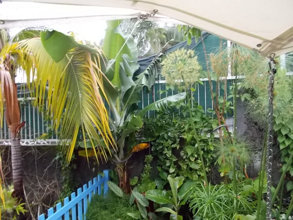 Maison 5 pièces 130 m² · à Le Tampon · 130 m² · 372 000 €