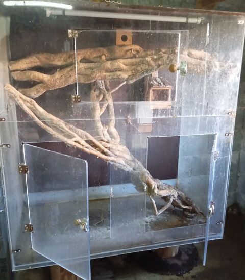 Terrarium , volière 200 29400 Guimiliau