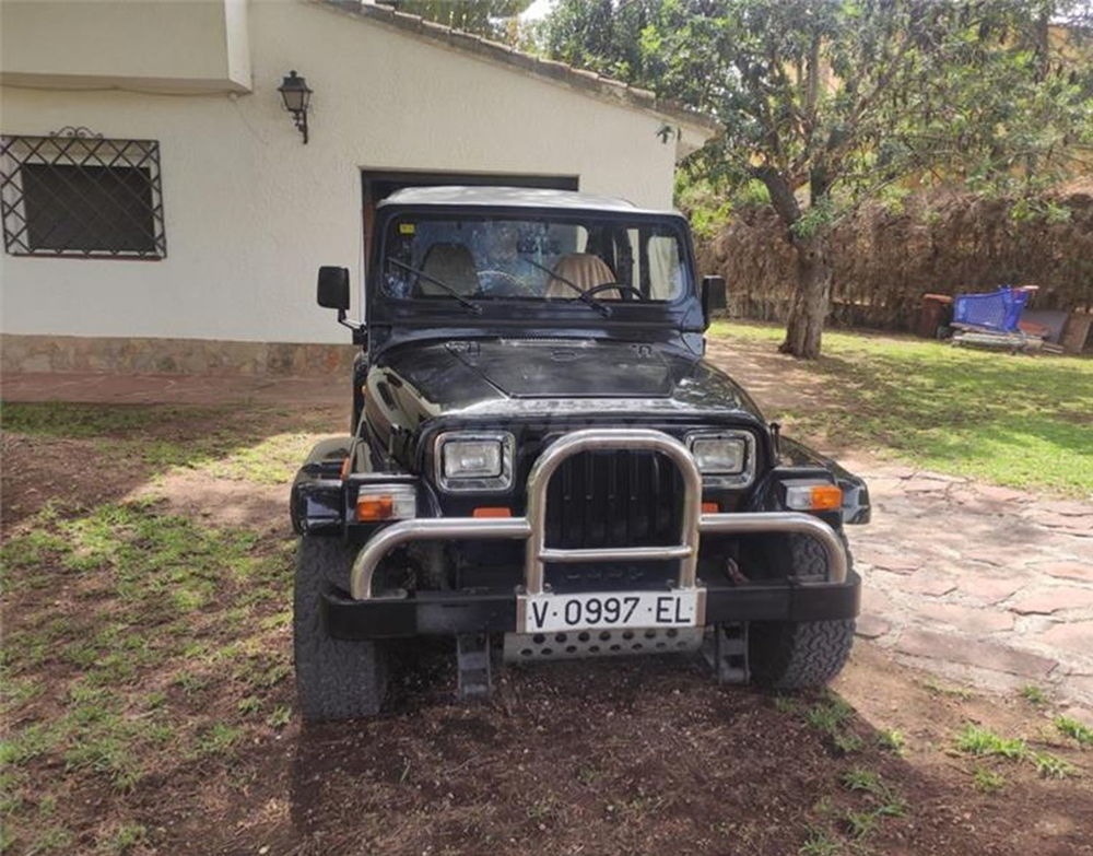 Wrangler 2.5i Sp&eacute;ciale Soft 1993 occasion Valencia, Spagna