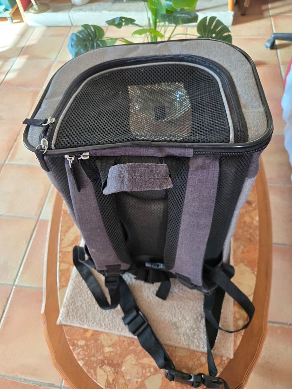 Cage de Transport pour Animaux Pliable Grise Sports