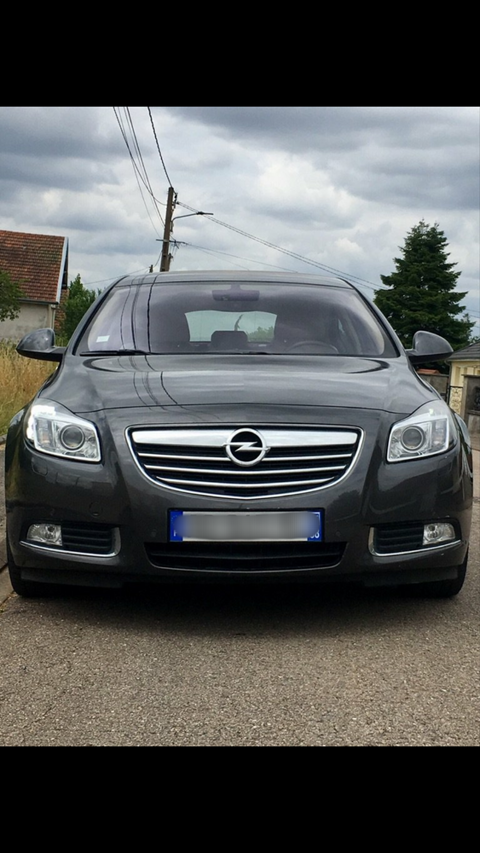 Opel Insignia 2.0 Turbo - 220 Cosmo Pack A 2010 occasion Toul 54200