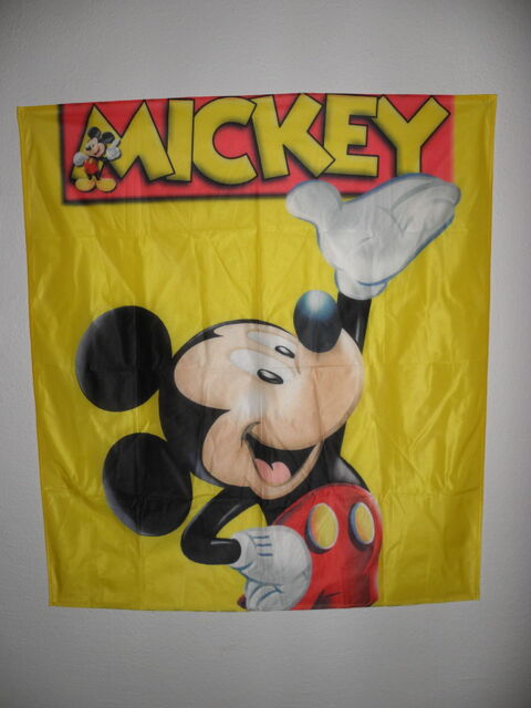 Grande toile Mickey Hyères (83)