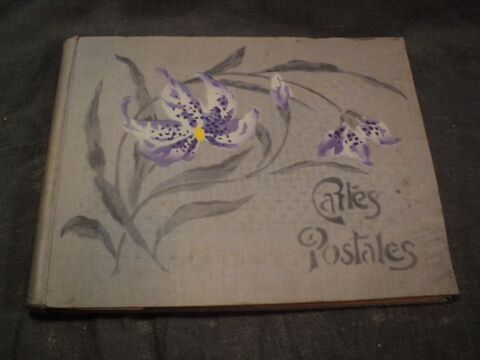 Ancien Album  Cartes Postales Tissu Imprim Orchides. 
18 Loches (37)
