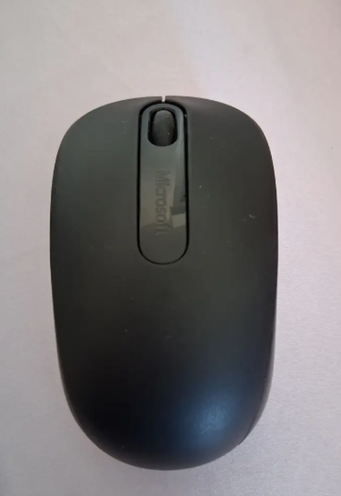 une souris, couleur noire. Très peu servie. 12 Paris 13 (75)