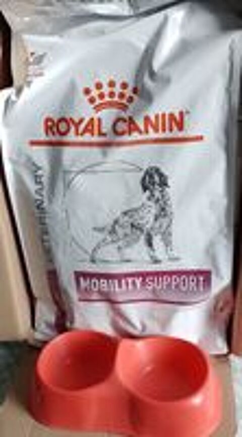   Gamelle double 
Sac de croquettes Royal canin 
