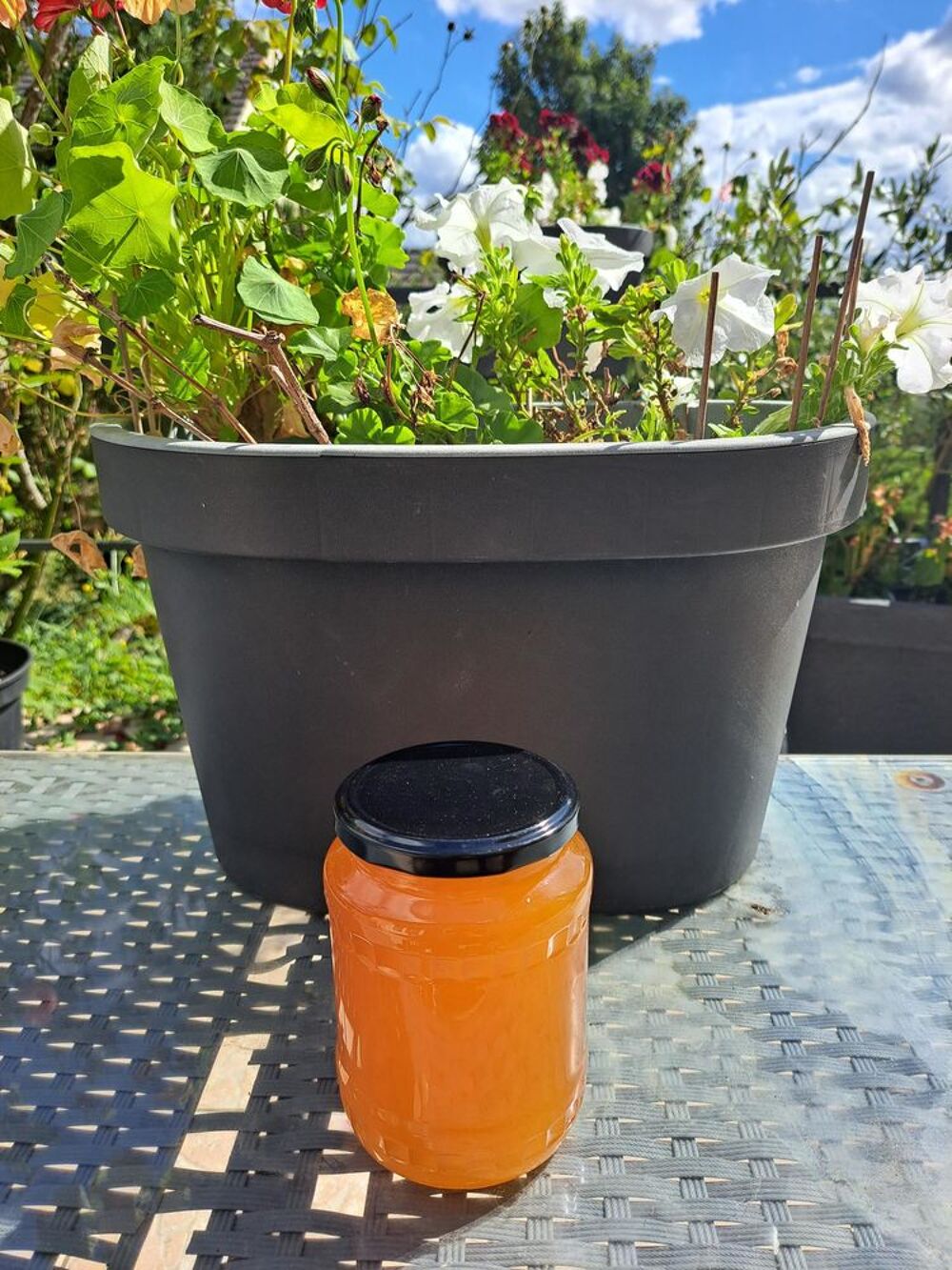 MIEL FLEURS D'&Eacute;T&Eacute; POTS 1 KG Jardin