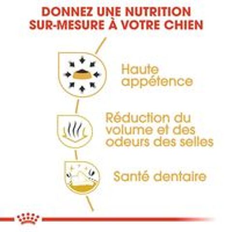   Croquettes ROYAL CANIN pour Chihuahuas adultes. 