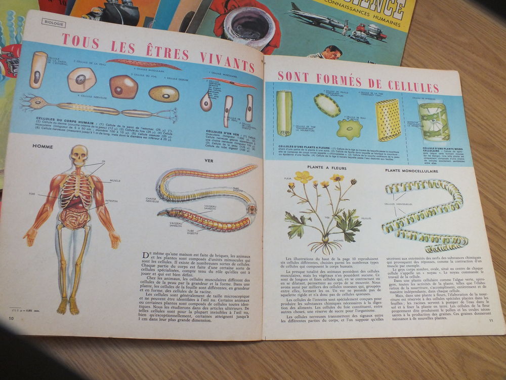 Livres de collection toute la science de1965 