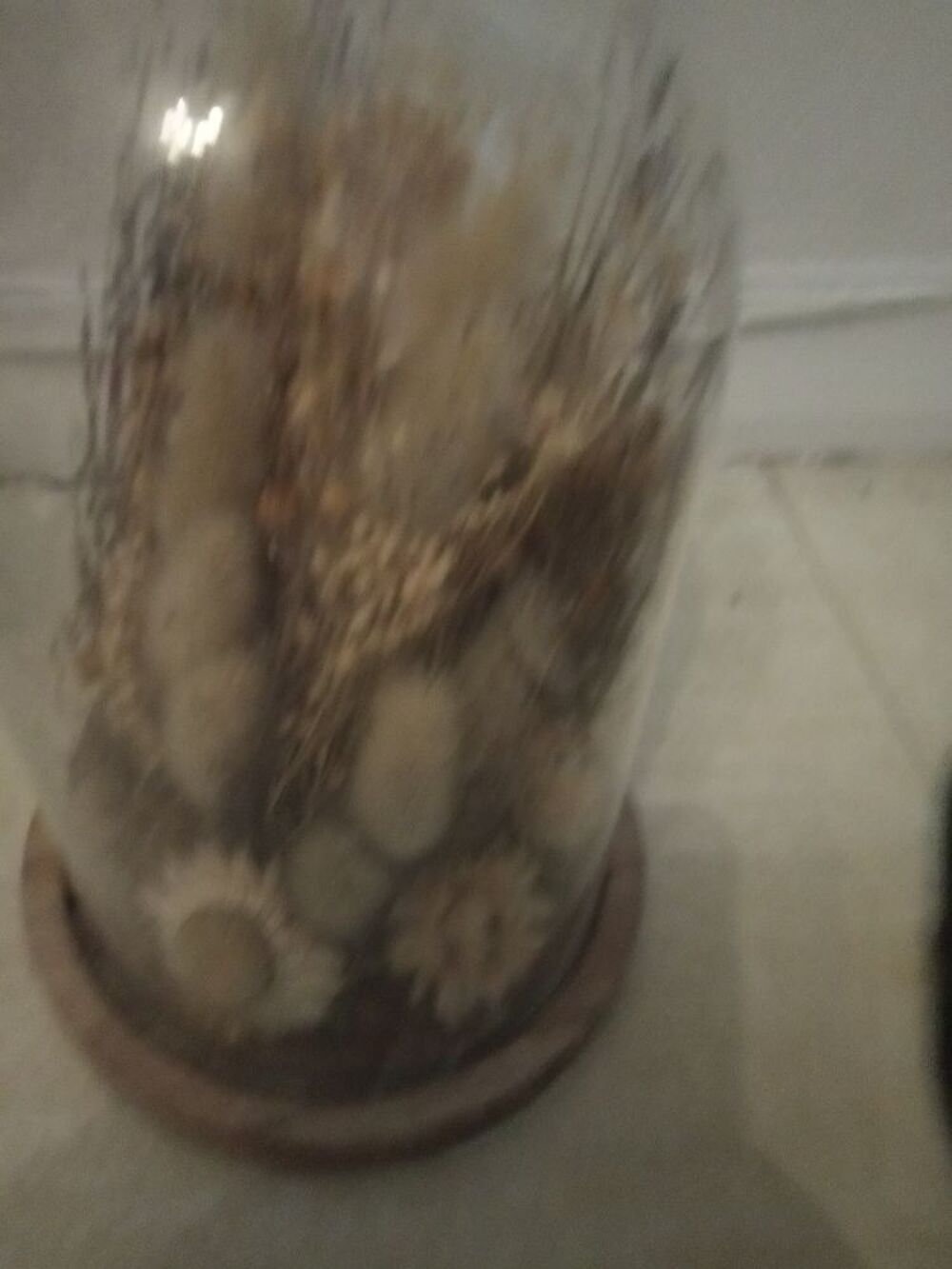 Fleurs s&eacute;ch&eacute;es sous-verre Décoration