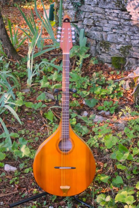 Irish bouzouki  675 Gourdon (46)