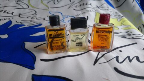 MINIATURE DE PARFUM 10 Trouy (18)
