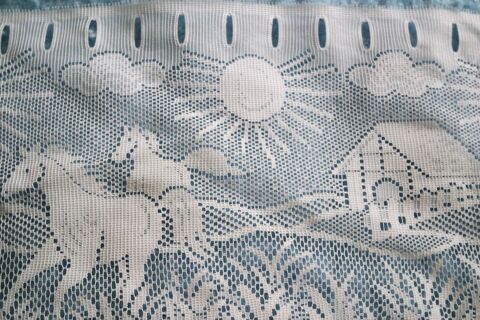 rideaux motif   cheval  dans la campagne  30 Houchin (62)