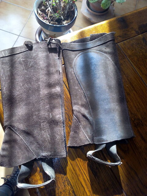 quitation 6 Seyresse (40)