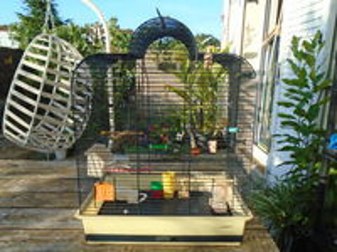   cage a oiseaux, avec tout dedans 