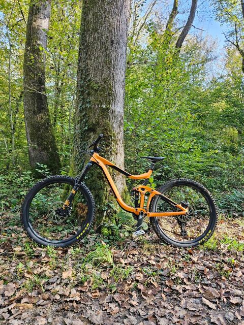 VTT Giant Reign 1100 Mulhouse (68)