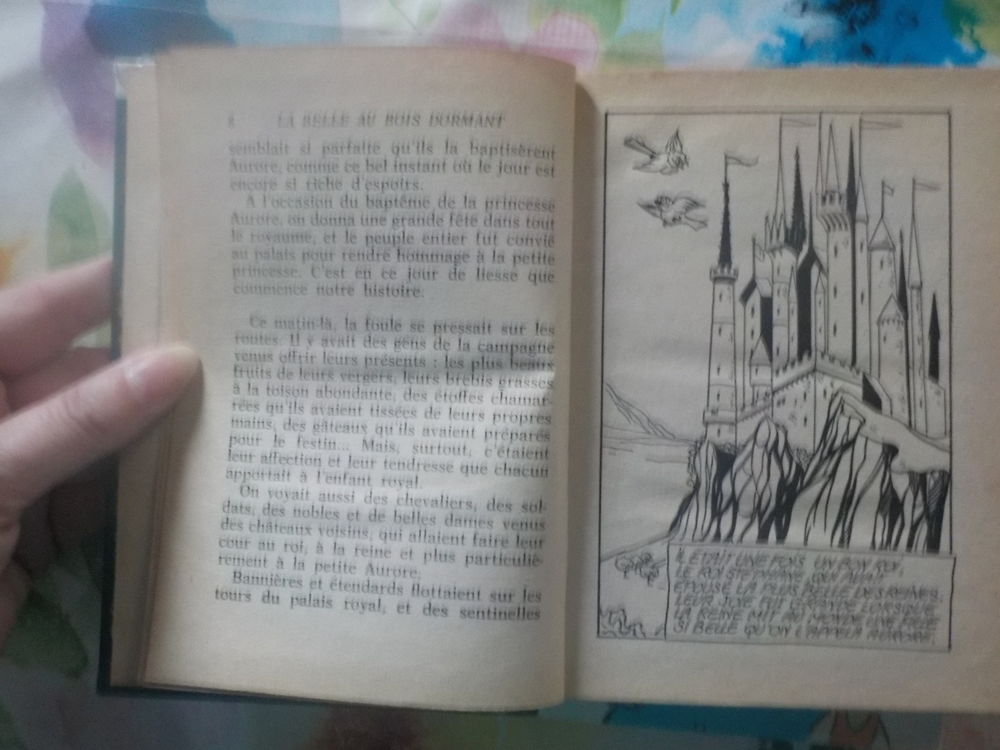 2 BIBLIO ROSE LA BELLE AU BOIS DORMANT L'APPRENTIE SORCIERE Livres et BD