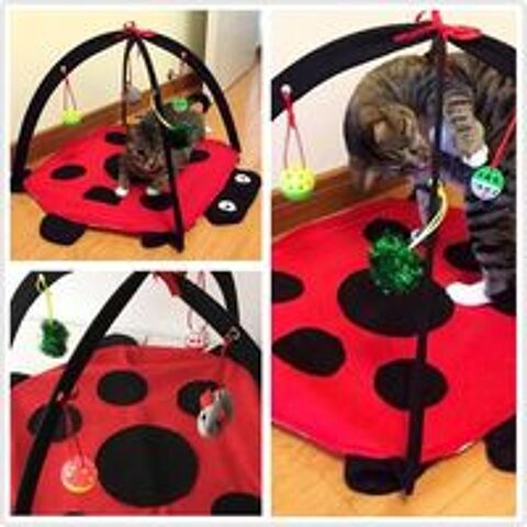   Tapis de jeu et d'activit mobile pour chien ou chat 