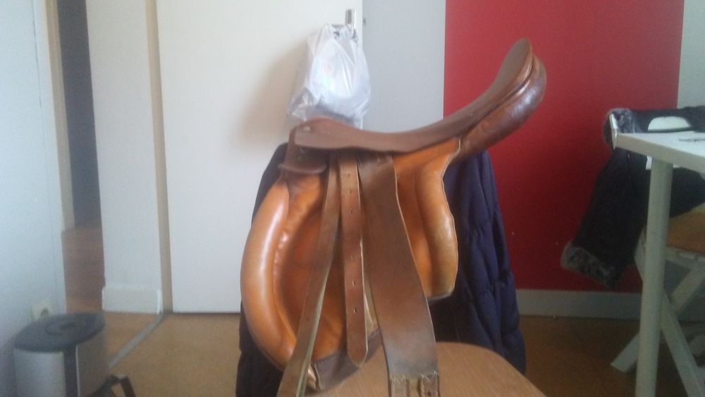 Selle de cheval Sports