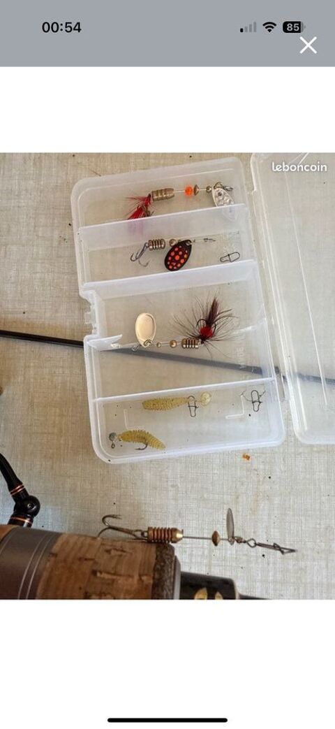 canne   pche 50 Roche-en-Rgnier (43)