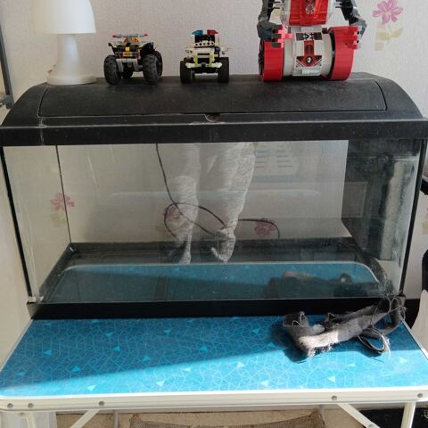 aquarium 100 litre Reims (51)