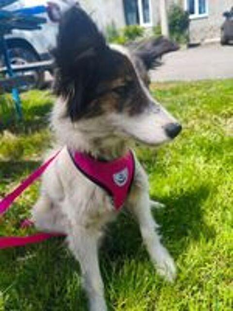   MARILYN SE TROUVE DANS UN REFUGE EN UKRAINE (RESERVEE) 