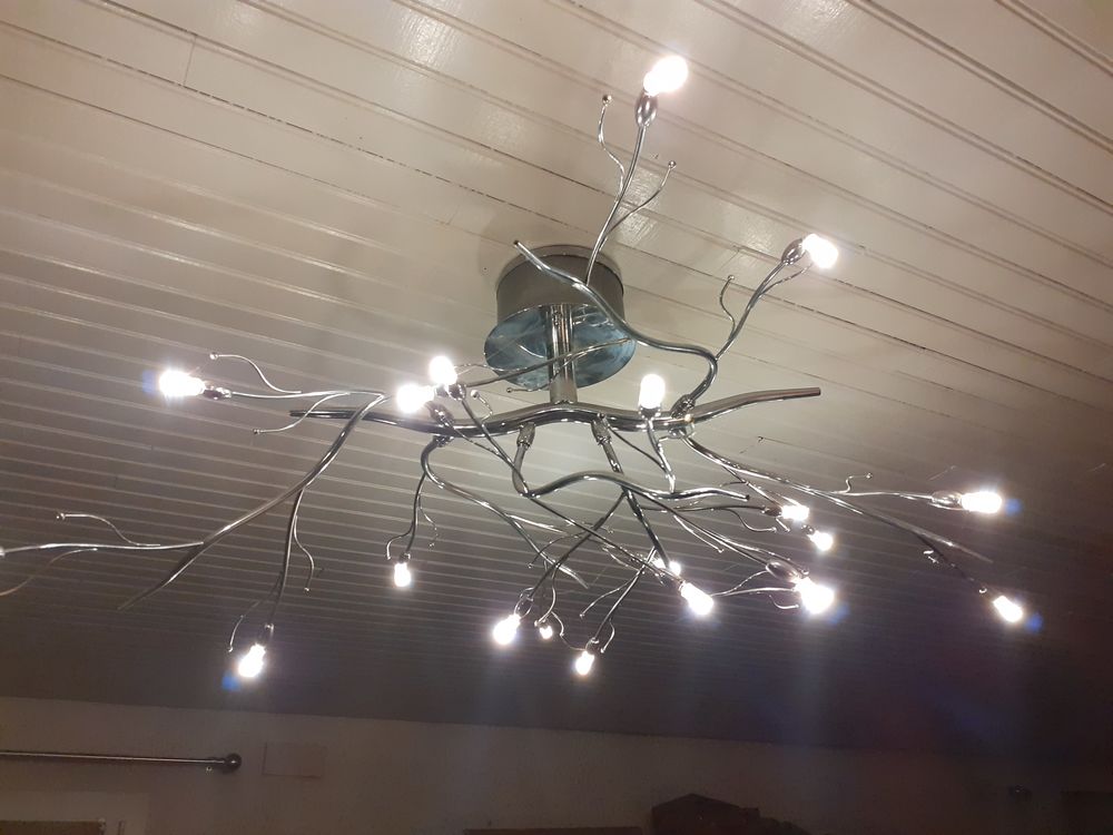 lustre v&eacute;g&eacute;tal Décoration