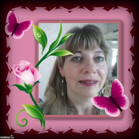 Aide-menagere Cesu 0 29380 Bannalec