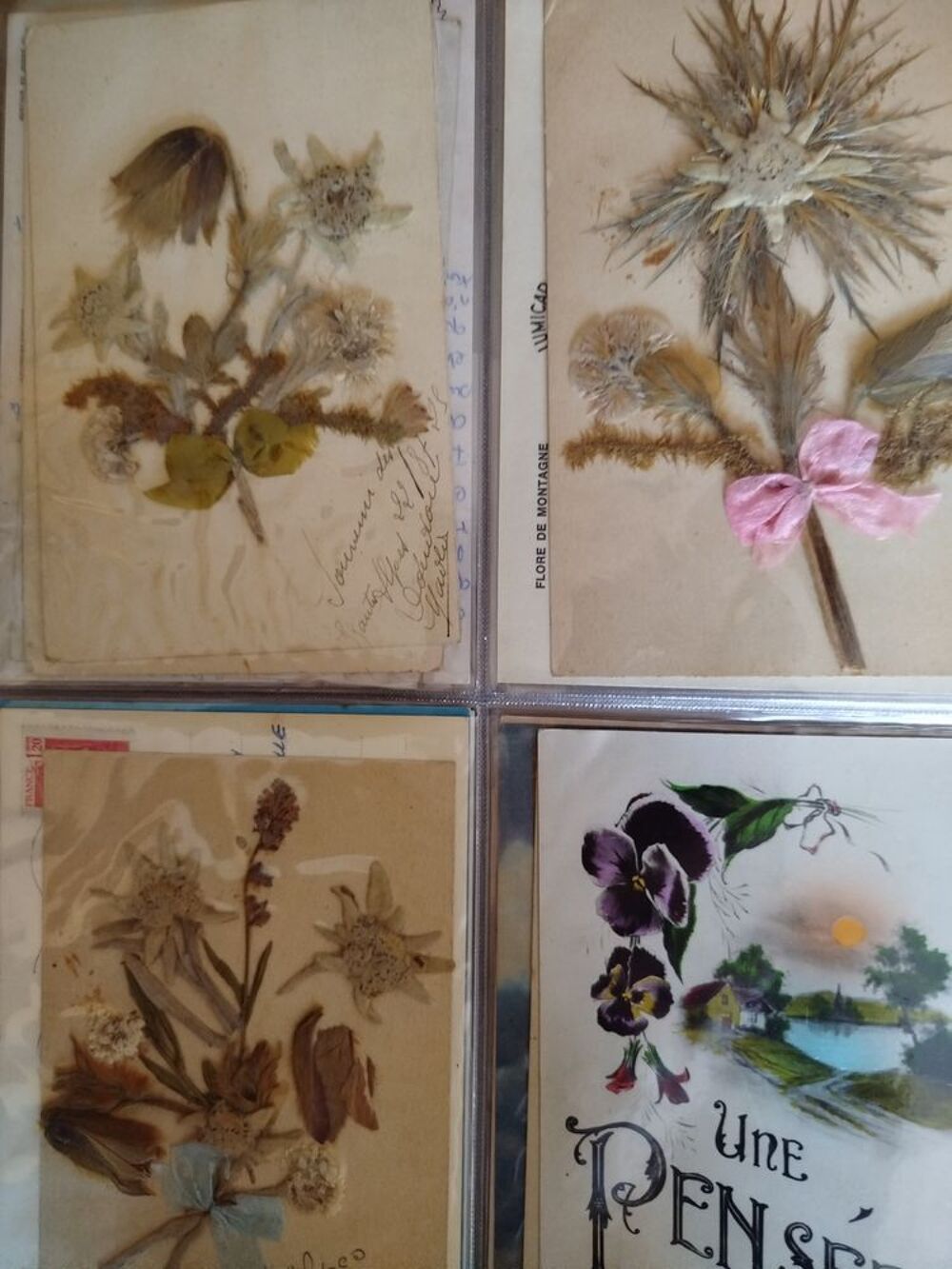 Cartes postales 