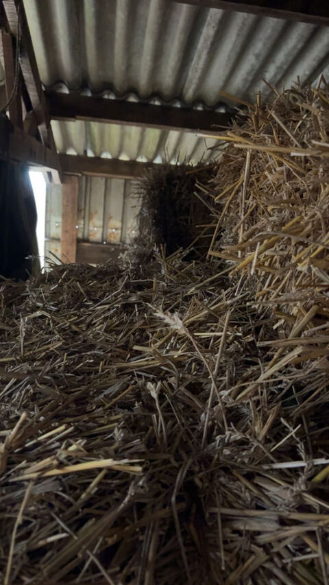 Ballots de paille 2 76190 Auzebosc