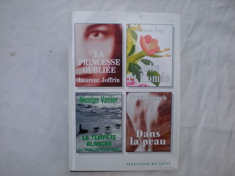 la princesse oubliée de laurent joffrin 2 Bailleau-l'Évêque (28)