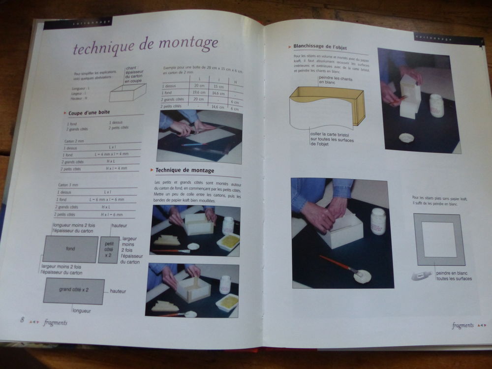 CARTONNAGE ET SERVIETTES EN PAPIER Livres et BD