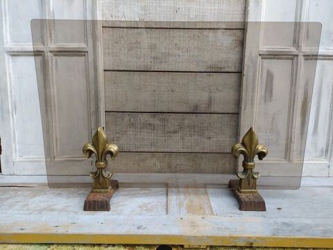 Pare Feu Chemine Verre Fum Fleurs de Lys Design Royal 120 Loches (37)