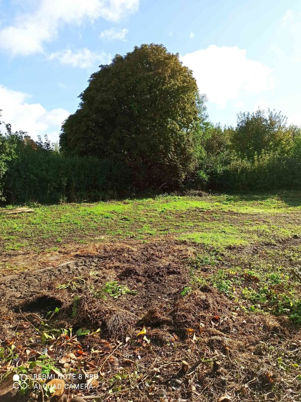 Vente Terrain TERRAIN 1502 M2 SECTEUR DESVRES Desvres