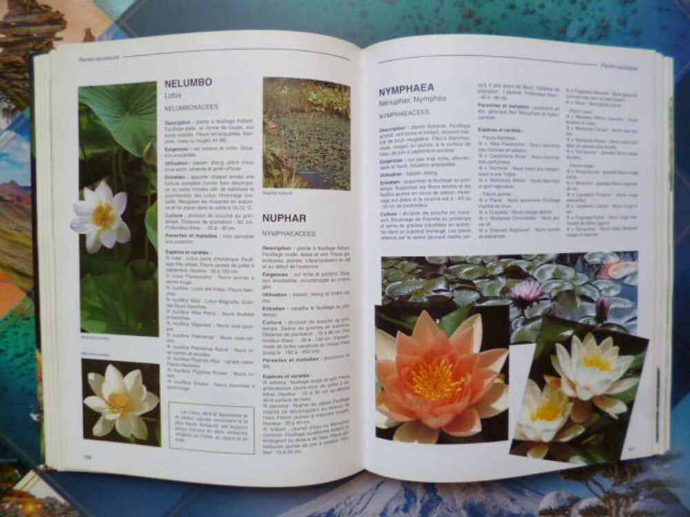 Le guide du jardin facile de Pierre Nessmann - zoe
.
Jardin