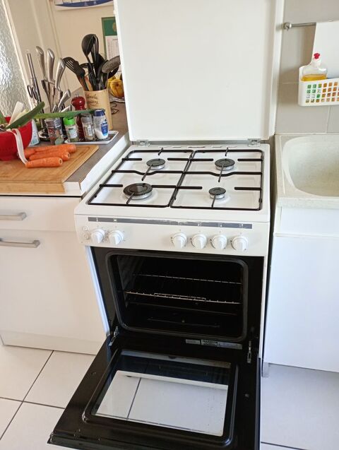 Gazini�re 40 Bourgoin-Jallieu (38)