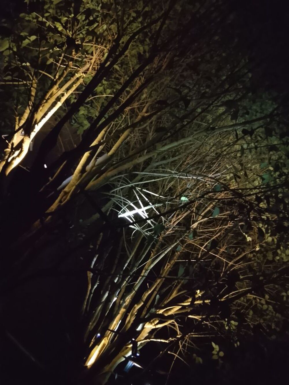 Piquets Spots Solaires a Led 1,5 watts Jardin