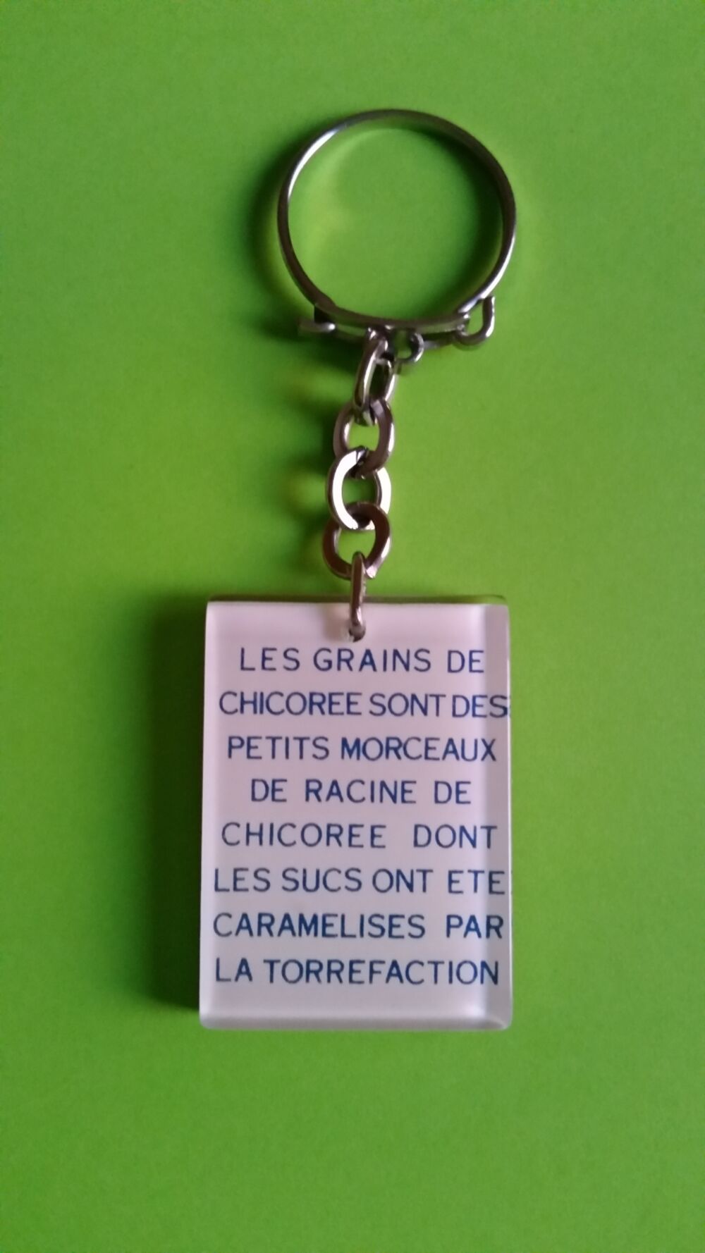 PORTE CL&Eacute; CHICOR&Eacute;E LEROUX 