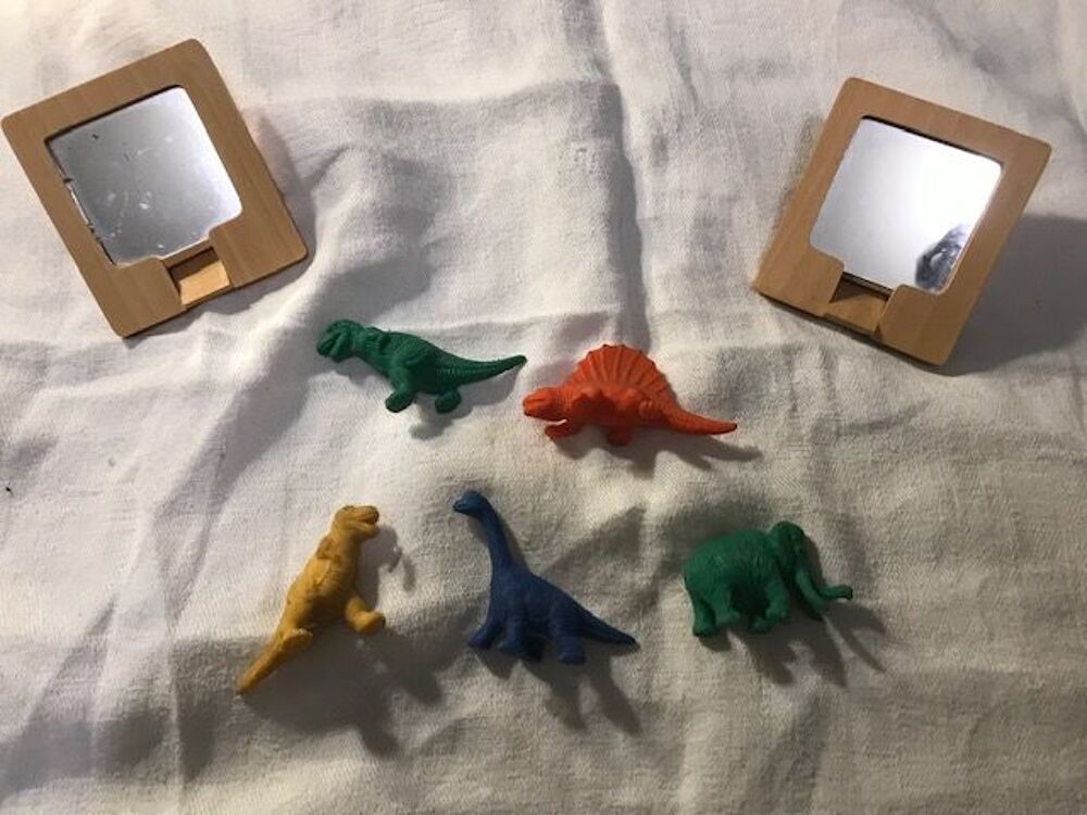 Miroirs et b&eacute;b&eacute;s dinosaures 